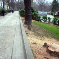 Foto de Oviedo