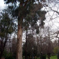 Foto de Oviedo