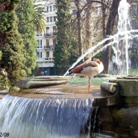 Foto de Oviedo