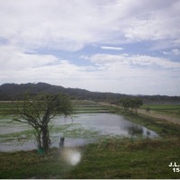 Foto de Rivas