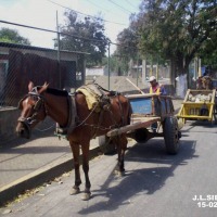 Foto de Granada