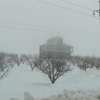 Foto de Sueda