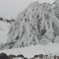 Foto de Sueda