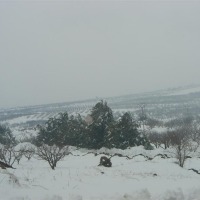 Foto de Sueda