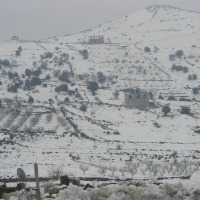 Foto de Sueda