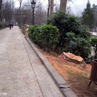 Foto de Oviedo