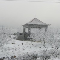 Foto de Sueda