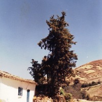 Foto de Mérida