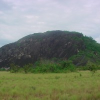 Foto de Amazonas