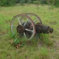 Foto de Amazonas