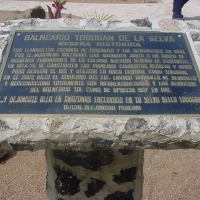 Foto de Amazonas