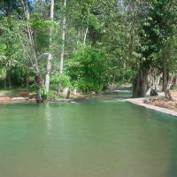 Foto de Amazonas
