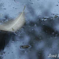 Foto de Jerez de la Frontera