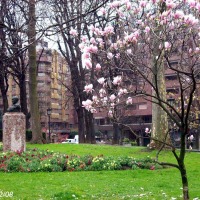 Foto de Oviedo