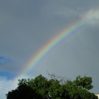 Foto de Santa Cruz de la Sierra