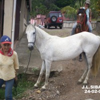 Foto de San Luis de San Ignacio de Acosta