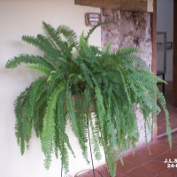 Foto de Granada