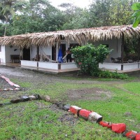 Foto de Isla Gorgona