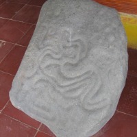 Foto de Isla Gorgona