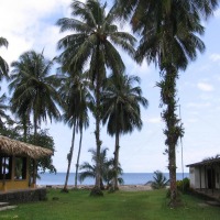 Foto de Isla Gorgona