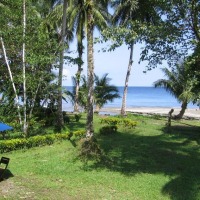 Foto de Isla Gorgona