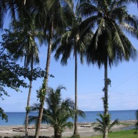 Foto de Isla Gorgona