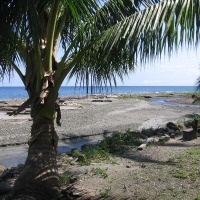 Foto de Isla Gorgona
