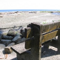 Foto de Isla Gorgona