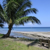 Foto de Isla Gorgona