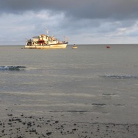 Foto de Isla Gorgona