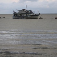 Foto de Isla Gorgona