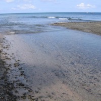 Foto de Isla Gorgona