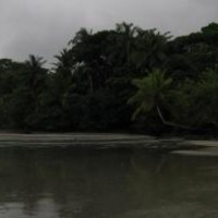Foto de Isla Gorgona