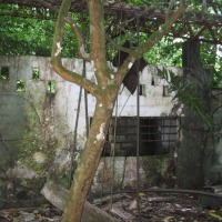 Foto de Isla Gorgona