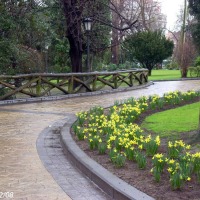 Foto de Oviedo