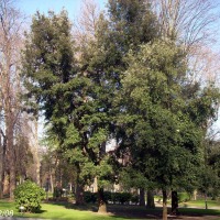 Foto de Oviedo