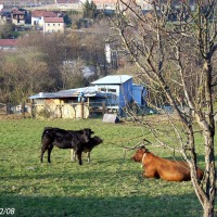 Foto de Oviedo