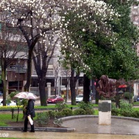 Foto de Oviedo