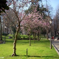 Foto de Oviedo
