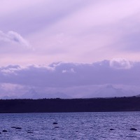 Foto de Puerto Natales