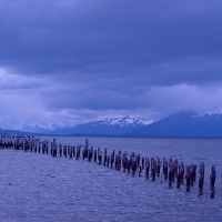 Foto de Puerto Natales