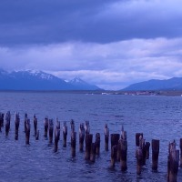 Foto de Puerto Natales