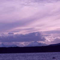 Foto de Puerto Natales