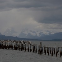 Foto de Puerto Natales