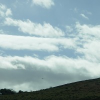 Foto de Puerto Natales