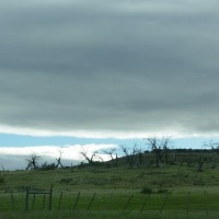Foto de Puerto Natales