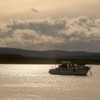 Foto de Puerto Natales