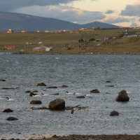 Foto de Puerto Natales
