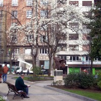Foto de Oviedo