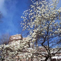 Foto de Oviedo